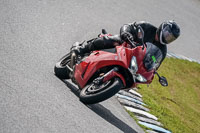 enduro-digital-images;event-digital-images;eventdigitalimages;lydden-hill;lydden-no-limits-trackday;lydden-photographs;lydden-trackday-photographs;no-limits-trackdays;peter-wileman-photography;racing-digital-images;trackday-digital-images;trackday-photos